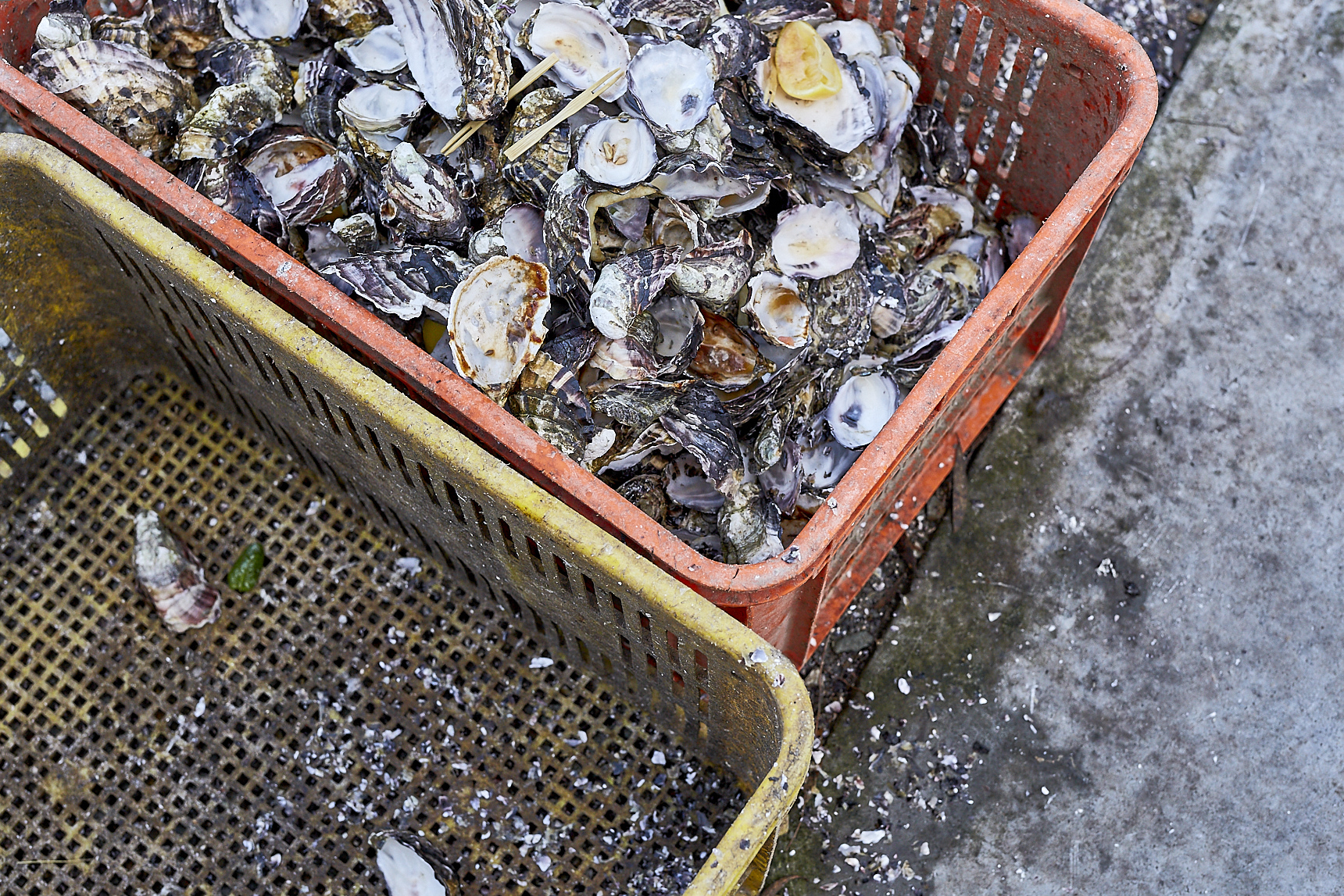 Get Shucked
